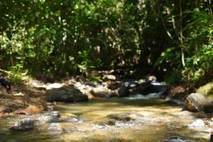 BIB: 
                            <button type="button" onclick="openModal(21852930)" class="btn btn-primary btn-sm float-right btn-popup" data-toggle="modal" data-target=".modal-high-quality">
                        <i class="fas fa-shopping-cart"></i> Add to Cart
                    </button>
                                            <button type="button" onclick="isThisMe(21852930, true)" class="btn btn-success btn-sm float-right btn-popup btn-isme hidden" data-toggle="tooltip" data-placement="bottom" title="นี่คือรูปของคุณใช่ไหม คลิกที่นี่เพื่อเอาเข้าอัลบั้ม">
                        <i class="fas fa-plus"></i> Add to album
                    </button>
                    <button type="button" onclick="isThisMe(21852930, false)" class="btn btn-warning btn-sm float-right btn-popup btn-isnotme hidden">
                        <i class="fas fa-ban"></i> Remove from album
                    </button>